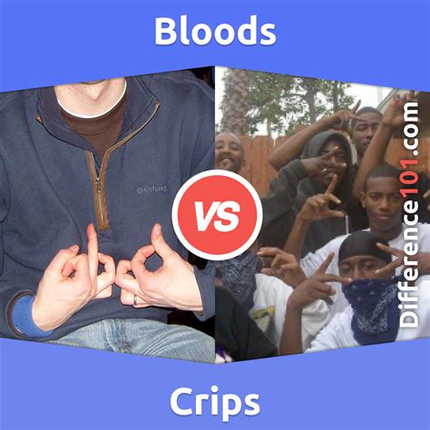 Bloods vs. Crips: 7 Key Differences, History of creation, Population ...