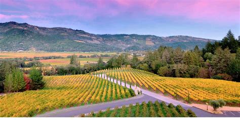 12 Best Wineries in Napa to Visit This Summer - trekbible