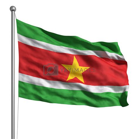 Flag of Suriname by ayzek Vectors & Illustrations Free download - Yayimages