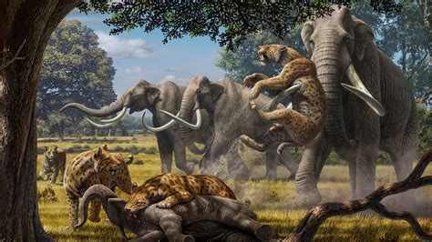 Even giant mammoths weren't safe from prehistoric predators | Science ...