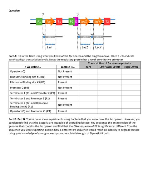 Lac Operon Practice Question - Question Part A: Fill in the table using ...