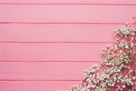 white baby's-breath flower #flowers #background #tree #pink #texture # ...