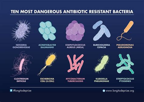 Longitude Prize on Twitter | Biomedical science, Microbiology lab ...