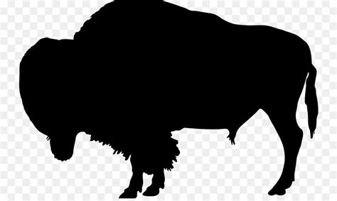 Water buffalo Silhouette American bison Clip art - Silhouette png ...