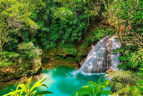 磊 Top 10 things to do in Jamaica | Rainforest Adventure