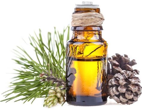 6 Benefits of Pine Oil (Infographic)