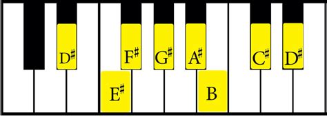 The D Sharp Minor Scale: A Complete Guide - Jade Bultitude