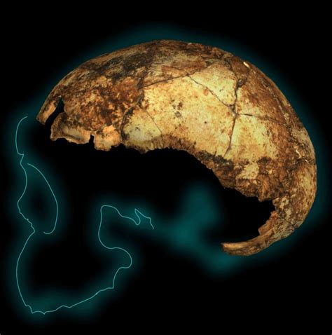 Skull from Joburg cave oldest early-human fossil