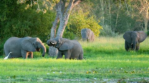 Mozambique Tours, Safari Trips, and National Park Travel | GeoEx