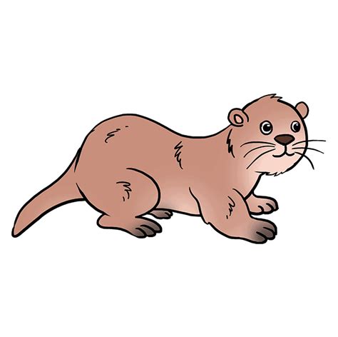 How To Draw A River Otter - Clockscheme Spmsoalan