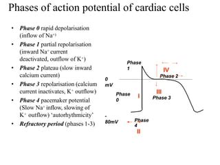 Antiarrhythmic drugs | PPT | Free Download