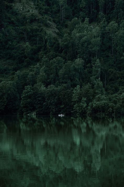 Nature Aesthetic Dark Green Wallpaper Aesthetic / We have a massive ...