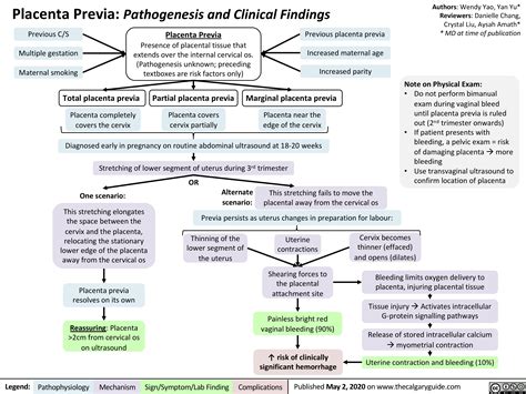 Placenta Previa: Pathogenesis and Clinical Findings | Calgary Guide