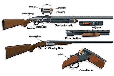 Meet the Shotgun | NSSF Let's Go Shooting