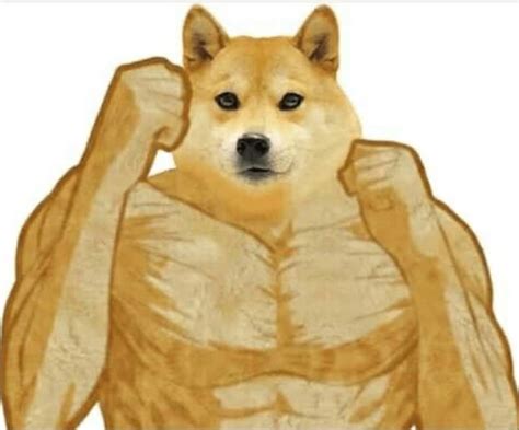 Doge Memes | Strong Doge Meme 2021 | Doge Meme Templates - Memes