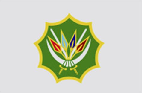 The South African Air Force