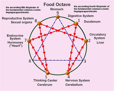 The Secret Enneagram of Gurdjieff and its relationship to Universal ...