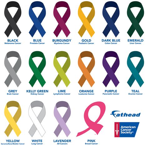 Colors of Cancer Ribbons: American Cancer Society Removable Wall Decal ...