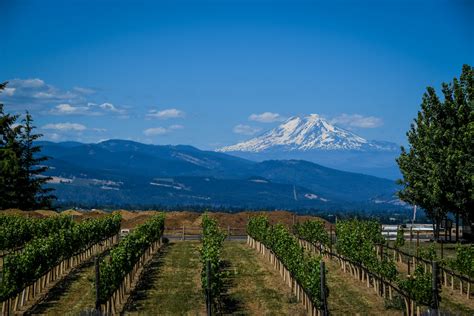 12 Best Hood River Wineries to Visit in Northern Oregon - Go Wander Wild