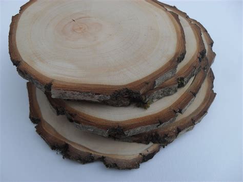 20+ Rustic Wood Log Slices