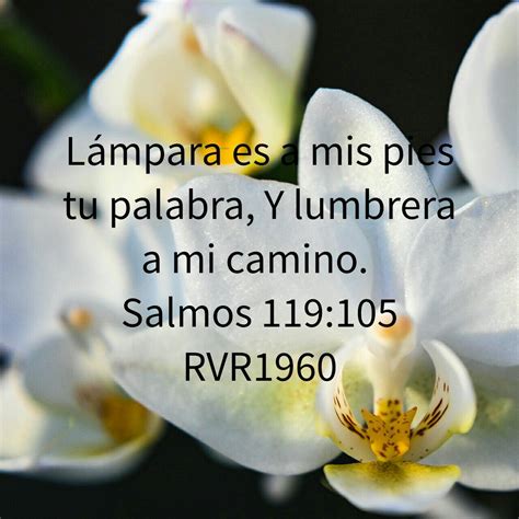 Pin on Spanish bible verses