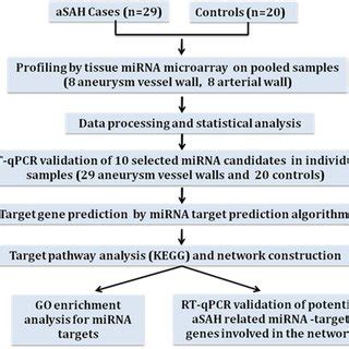 Overview of the tissue microRNA expression analysis in the present ...