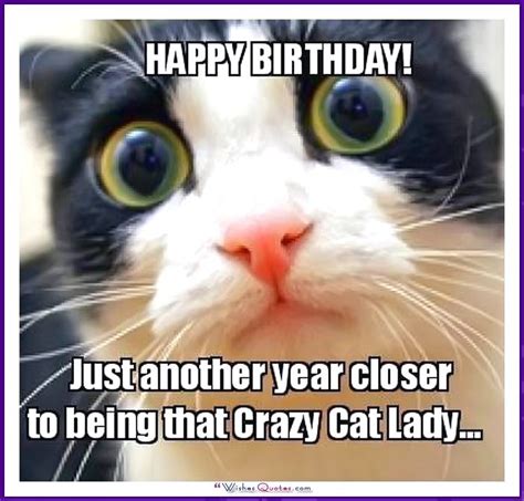 Happy Birthday Memes With Funny Cats, Dogs And Animals | Happy birthday ...