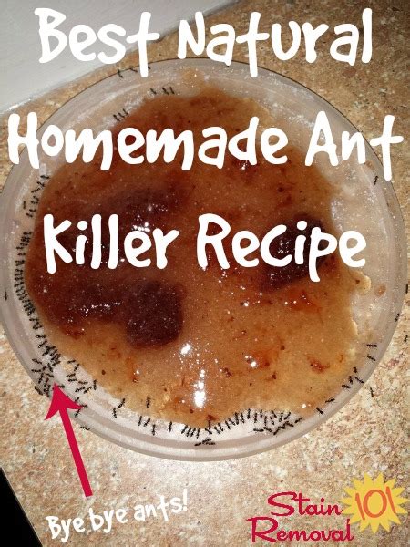 borax ant killer recipe ratio - Deedra Bounds