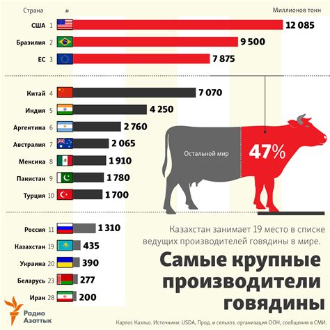 Мясо в мире. Кто лидирует по производству говядины?