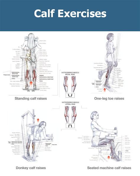 Calf Muscle Exercises For Mass – Exercise