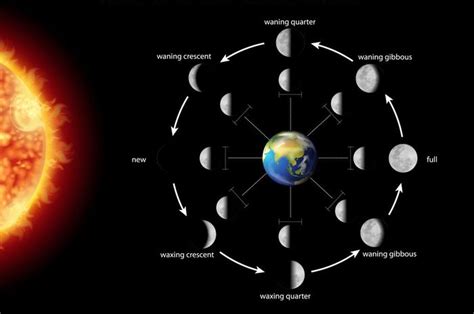 Ada 8 Fase Bulan yang Terjadi Setiap Tahun, Ini Sebutan dan ...