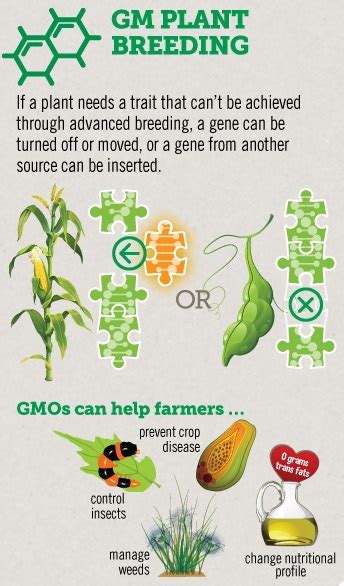 Get to Know GMOs Month - GMO Basics | GMO Answers