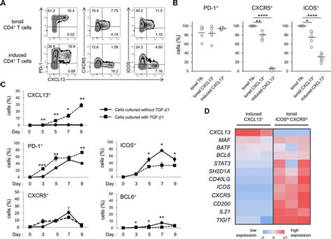 Expression profiles of Tfh-cell features in TGF-β-induced... | Download ...