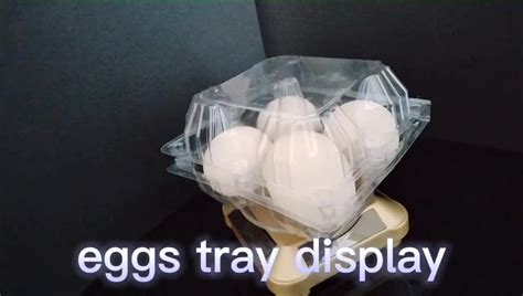 Plastic Egg Cartons Bulk Empty Clear Chicken Egg Tray Disposable Egg ...