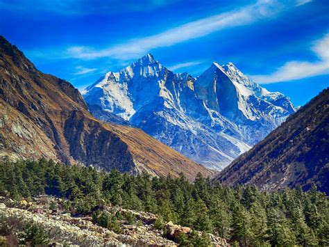 Experience The Alpine Wilderness At Gangotri National Park - Nativeplanet