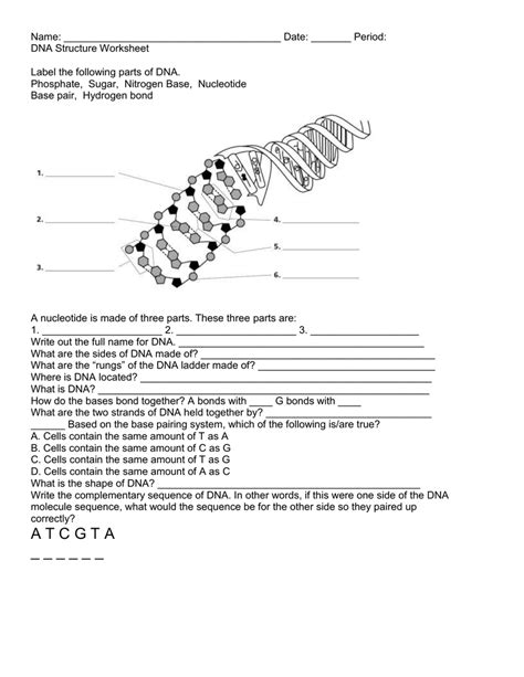 Label Dna Worksheets