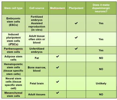 Navigating Stem Cell Therapies - Summit for Stem Cell