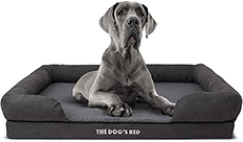 5 Best Orthopedic Dog Beds UK [Top Recommendations & Buyer's Guide]