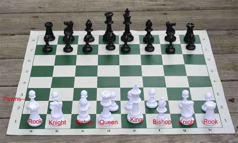 How To Set Up A Chess Board Game | Gameita