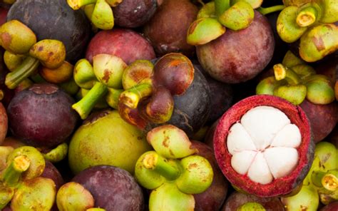 The Powerful Health Benefits Of Mangosteen Fruit - FreshCap Mushrooms