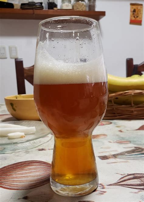 English IPA Beer Recipe | All Grain English IPA by Ivan Barenboim ...