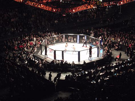 Ufc Fighting Cage