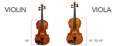 Violin and Viola - What's the Difference? | Normans Blog