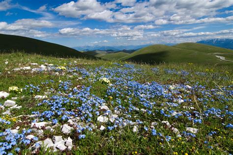 Abruzzo National Park, Gran Sasso, Marsican Brown Bears and nature