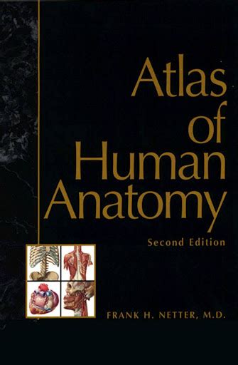 20 Best Anatomy Books For Medical Students (2023 Update) - Los Angeles ...