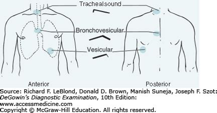 Lung Auscultation – Physical Therapy Reviewer