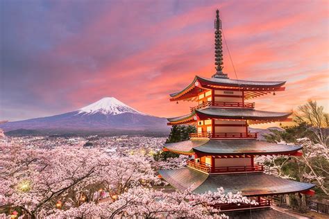 Japan Cherry Blossom Tour — Travel Japan with Amnet