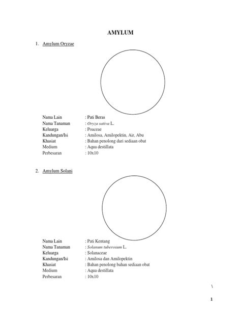 Amylum Oryzae | PDF