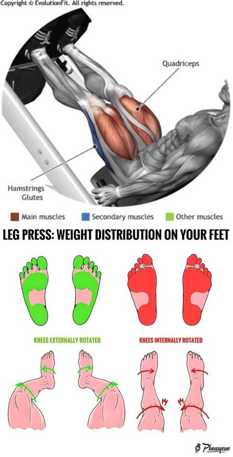 LEG PRESS: WEIGHT DISTRIBUTION ON YOUR FEET