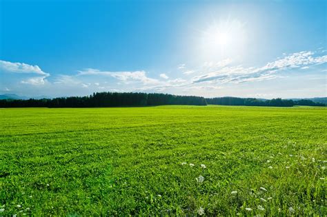 Free Green Field Landscape Stock Photo - FreeImages.com